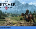 The witcher 3