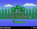 Terraria